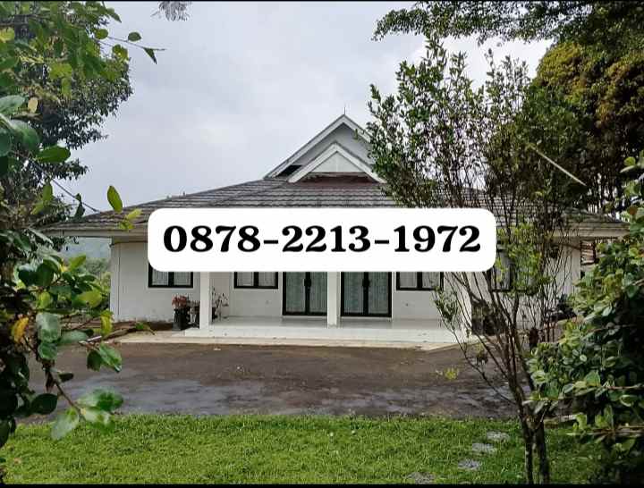 villa bagus untuk hotel dan agrowisata di ciwidey