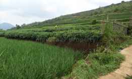 Tanah di Jalan Raya Cicalengka Pinggir Jalan Propinsi  Cocok untuk Perumahan