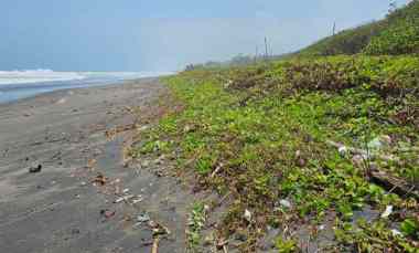 beach front land di pantai yeh gangga tabanan bali
