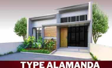 cluster tulyp type alamanda 32 66