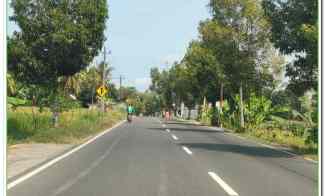 Dekat Exit Toll Gamping, Tanah Murah Sedayu