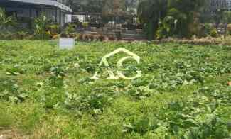 di tanah di pesanggrahan batu malang