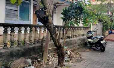dijual 1 7 are jl gunung lingga i gatsu barat denpasar