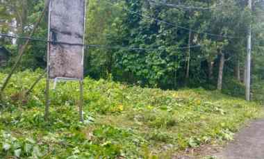 dijual 13 are jl alas kedaton kukuh marga tabanan