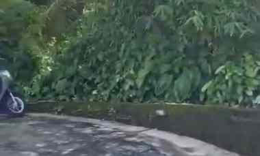 dijual 14 are jl meduri sibangkaja abiansemal badung