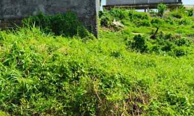 dijual 2 15 are jl kahyangan buduk mengwi