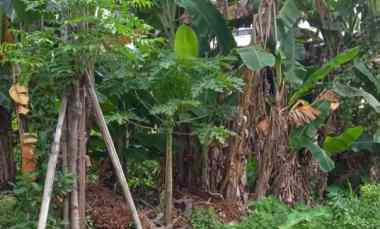 dijual 2 4 are jl gunung talang padangsambian denpasar