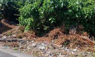 dijual 2 6 ha jl raya sading darmasaba mengwi badung