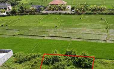 Dijual 2 are, jl. Mulioto Buwit Kediri Tabanan