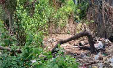 dijual 31 6 are jl gayang sari kutuh kuta selatan