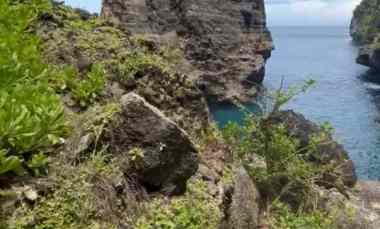 dijual 38 ha loss tebing tanglad nusa penida klungkung