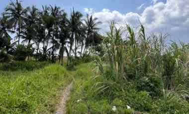 dijual 5 are jl dewi sri pandak gede kediri tabanan