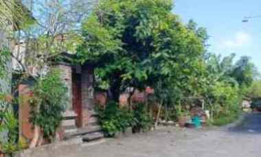 dijual 5 are jl gelogor carik pemogan denpasar selatan