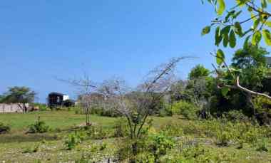 dijual 50 are jl tulip toyaning ungasan kuta selatan