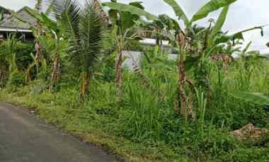 dijual 7 5 are jl anyelir wanasara bongan tabanan