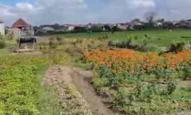 dijual 79 01 are jl astasura vi nangka utara denpasar