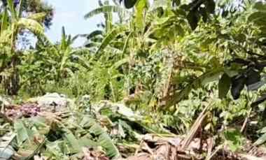 dijual 90m jl kubudayu pesanggaran sesetan denpasar