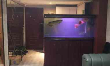 dijual apartemen jl dr mansyur usu