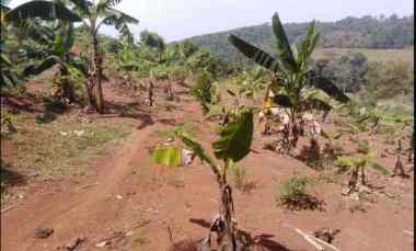 dijual cepat jual rugi tanah seluas 500 m2