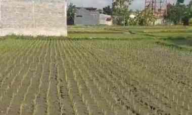 dijual cepat tanah bantul warung bantul diy