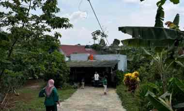 dijual cepat tanah bonus rumah murah di ciampea bogor