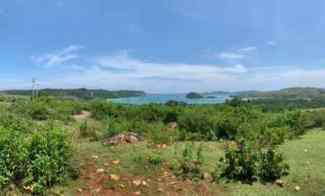 Dijual Cepat Tanah di Kawasan Pantai Dondon - Lombok