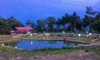 dijual cepat tanah di kawiley minut kab minahasa utara