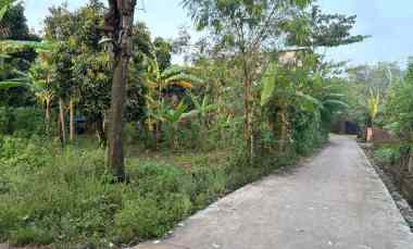 dijual cepat tanah karangbener bae kudus