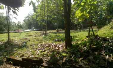dijual cepat tanah maguwoharjo depok sleman