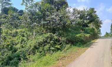 dijual cepat tanah murah