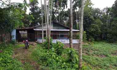 dijual cepat tanah murah