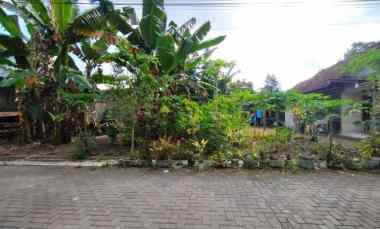 dijual cepat tanah shm pekarangan di palagan