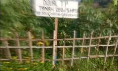 dijual cepat tanah tanjungsari sumedang jawa barat