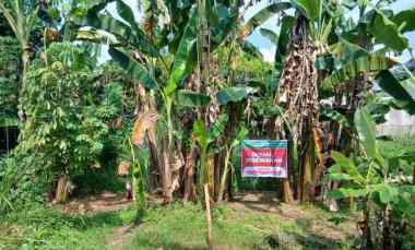 dijual disewakan tanah strategis
