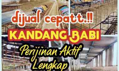 dijual kandang babi 1 2ha ijin aktif salatiga 15m nego