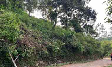 dijual kebun durian 2003m2 karanganyar timur