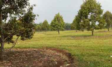 Dijual Kebun Durian Premium Villa Eksklusif Siap Panen