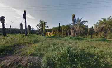 dijual kebun sawit daerah gohor lama langkat