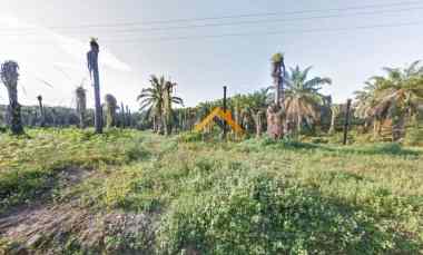 dijual kebun sawit daerah gohor lama langkat