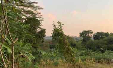 dijual lahan dekat kopi blirik mijen semarang