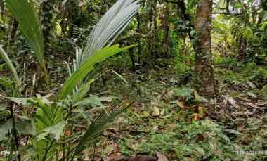 Dijual Lahan dengan View Lembah dan Bukit yang Indah