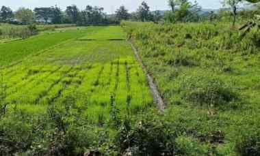 dijual lahan industri di jimbung klaten