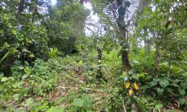 dijual lahan kebun sawah los sungai dan view gunung
