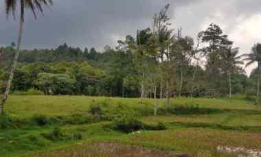 dijual lahan komersial strategis di alahan panjang