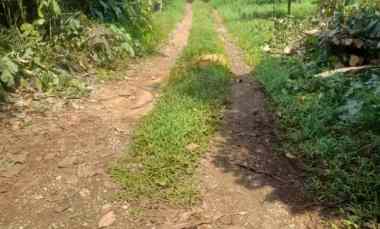 dijual lahan tanah 6 4 hektar di kabupaten bogor