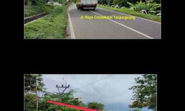 dijual lahan untuk peternakan subang jawa barat