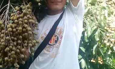 dijual lokasi kebun durian di sukabumi