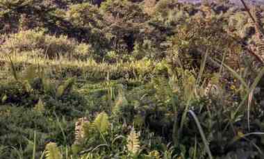 dijual lokasi tanah view gunung