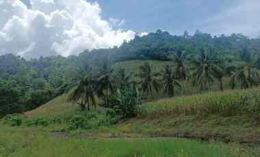 dijual murah dan cepat