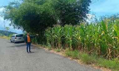 dijual murah dan cepat